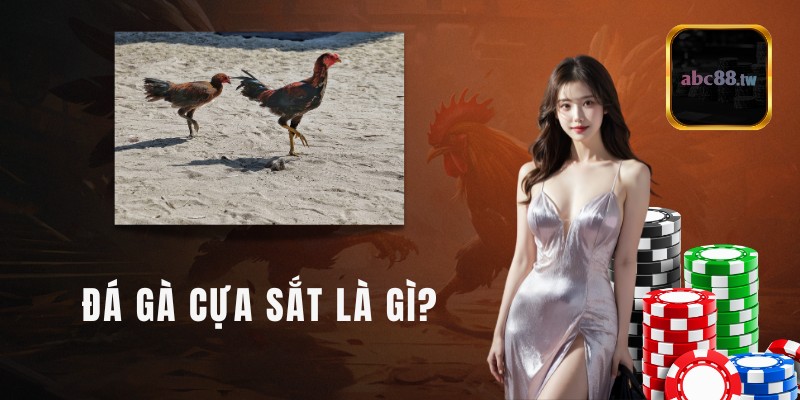 Đá gà cựa sắt là gì? 